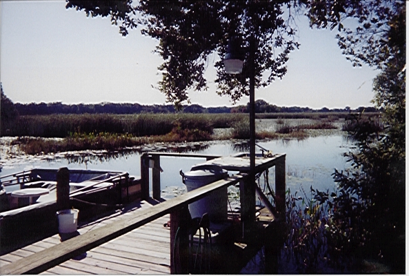 Florida dock