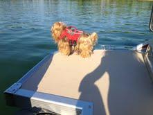 Marley loves to keep the Lake clean!