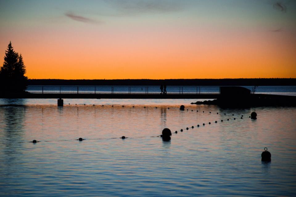 Swim area and dock