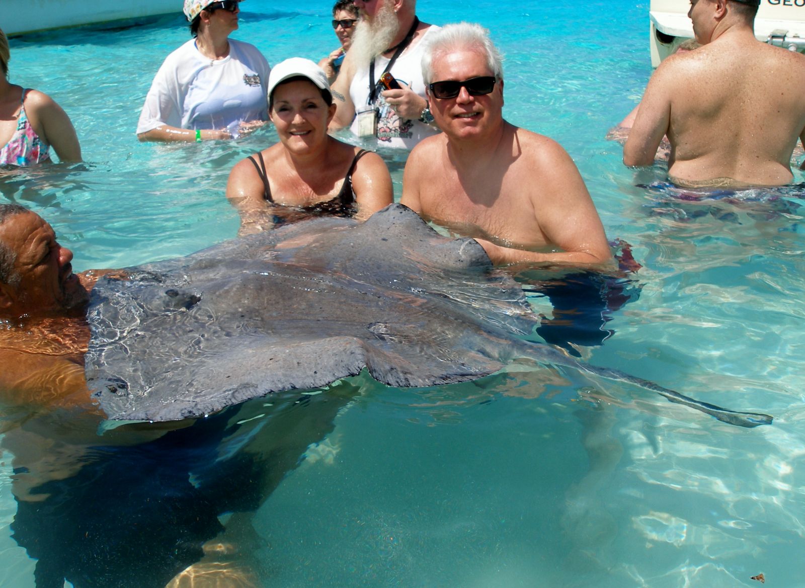 Swim with the Stinrays - Grand Cayman Islands